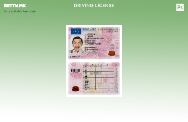 модерен стил Полска DL присутен шаблон